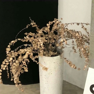新昌福瑞交流群